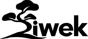 Logo Szkółka roślin iglastych Siwek Szymon